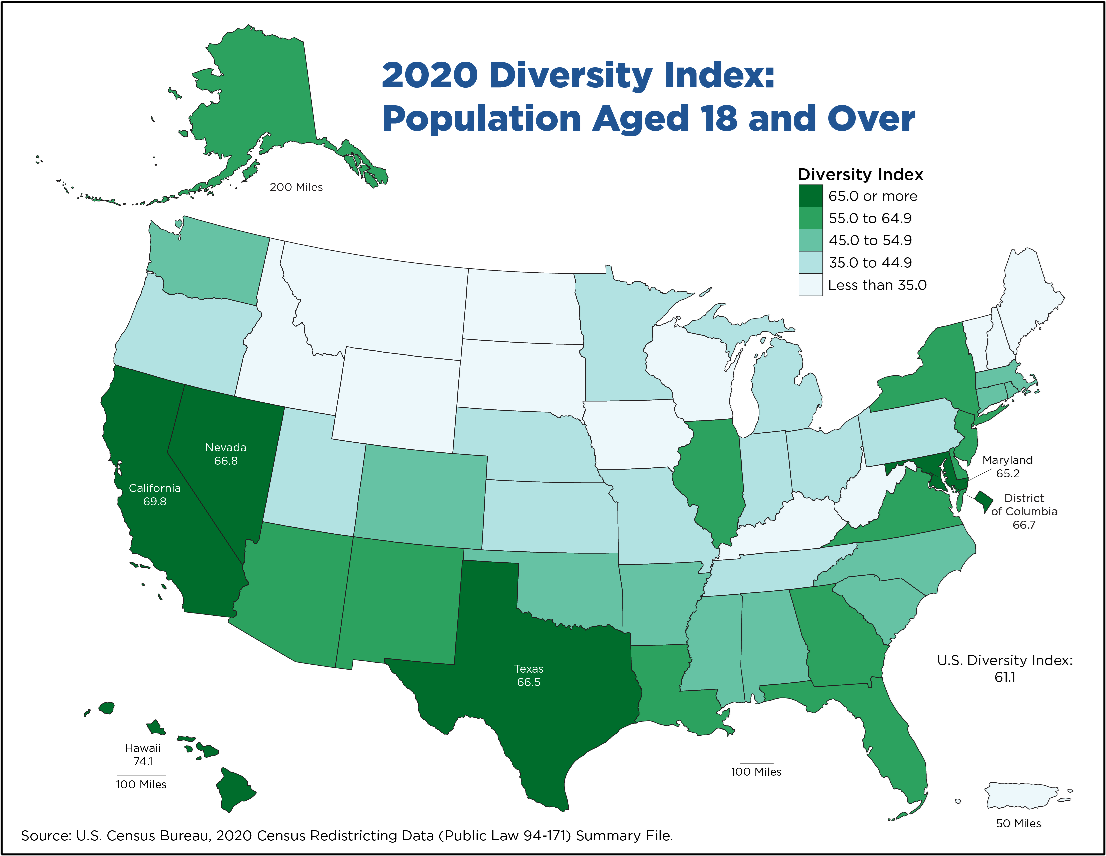 2020 Diversity Index: Population Aged 18 and Over