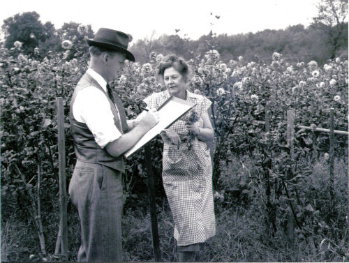 1940 interview in garden