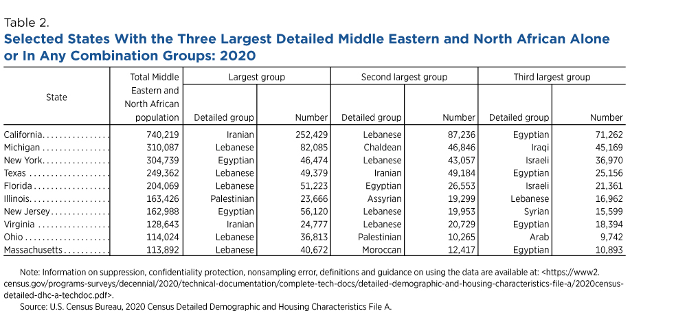 Table 2. Selected States With the Three Largest Detailed Middle Eastern and North African Alone or In Any Combination Groups: 2020