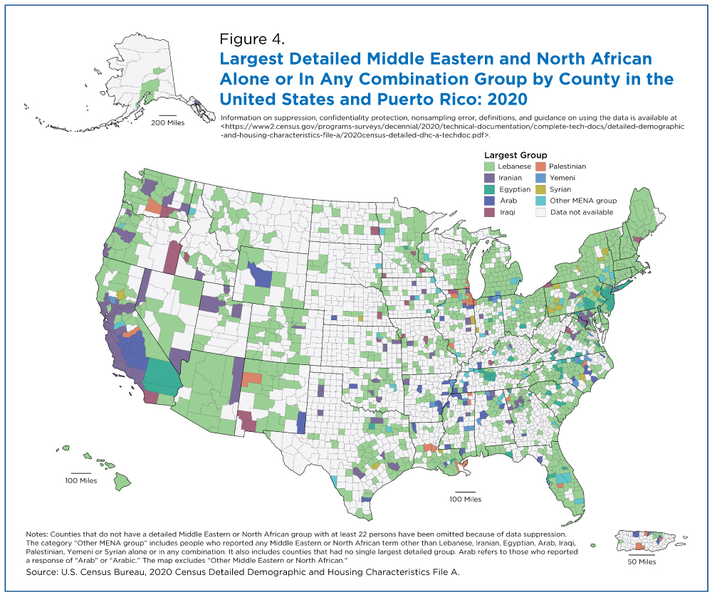 Figure 4. Largest Detailed Middle Eastern and North African Alone or In Any Combination Group by County in the United States and Puerto Rico: 2020