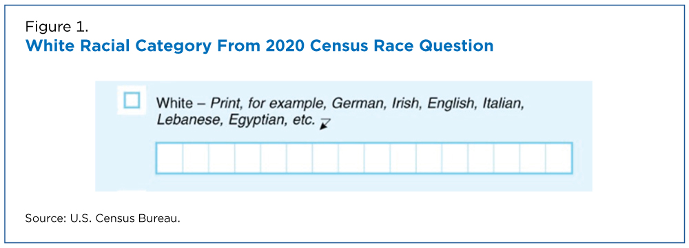 Figure 1. White Racial Category From 2020 Census Race Question