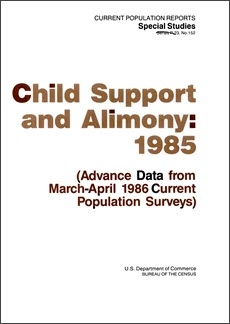 Child Support and Alimony: 1985 (Advance Data)