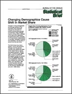 Statistical Brief: Changing Demographics Cause Shift In Market Share