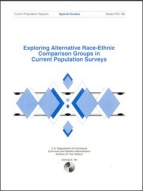Exploring Alternative Race-Ethnic Comparison Groups in Current Population Surveys