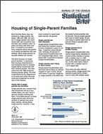 Statistical Brief: Housing of Single-Parent Families