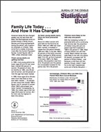 Statistical Brief: Family Life Today . . .  And How It Has Changed