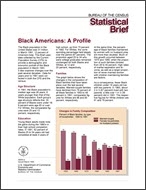 Statistical Brief: Black Americans: A Profile