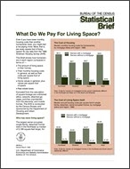 Statistical Brief: What Do We Pay For Living Space?