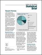Statistical Brief: Vacant Homes