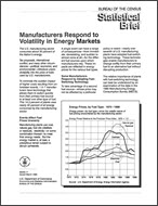 Statistical Brief: Manufacturers Respond to Volatility in Energy Markets