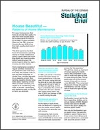 Statistical Brief: House Beautiful — Patterns of Home Maintenance