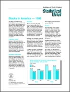 Statistical Brief: Blacks in America — 1992