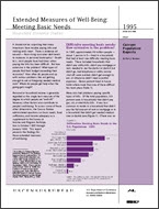 Extended Measures of Well-Being: Meeting Basic Needs 1995
