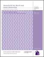 Household Net Worth and Asset Ownership: 1995