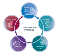Data Review Process