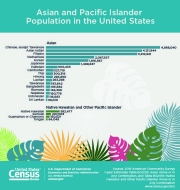 Asian and Pacific Islander Population in the United States