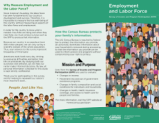 SIPP Employment Labor Force Brochure Eng