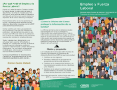 SIPP Employment Labor Force Brochure SP