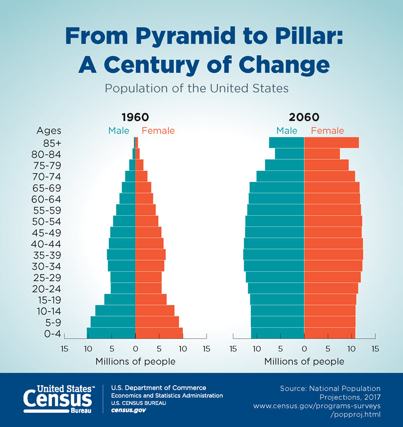 demographic transition and population pyramids
