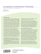 Occupations in Information Technology