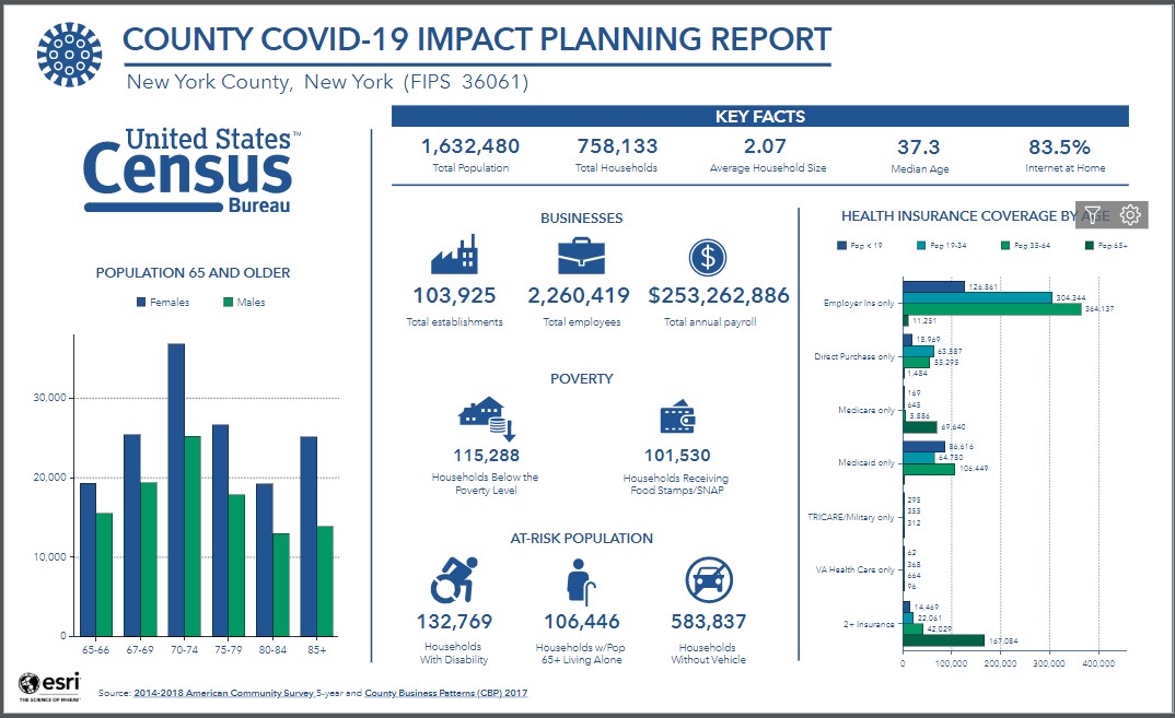 Screen shot of Census Covid-19 Hub