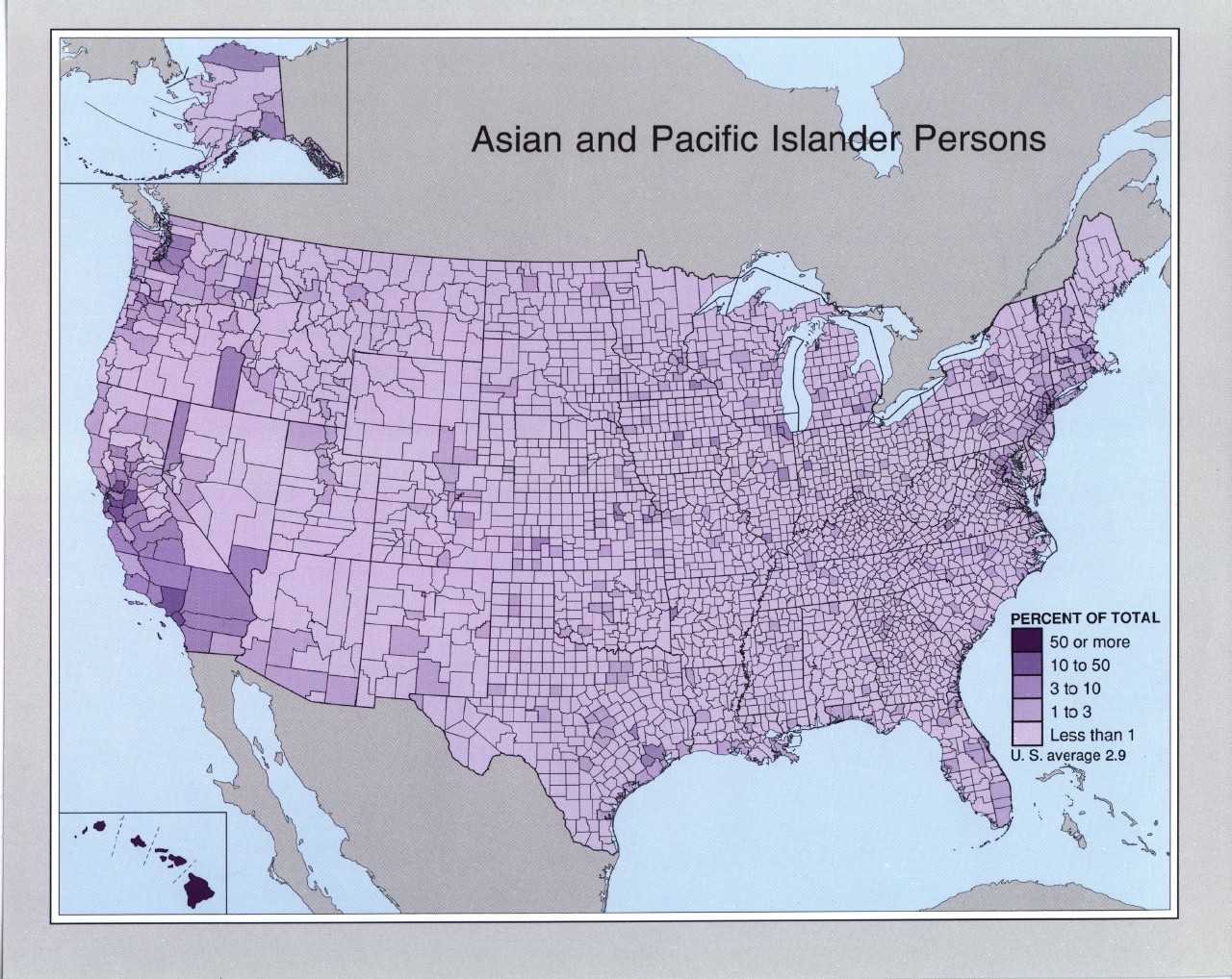Asian and Pacific Islander Persons