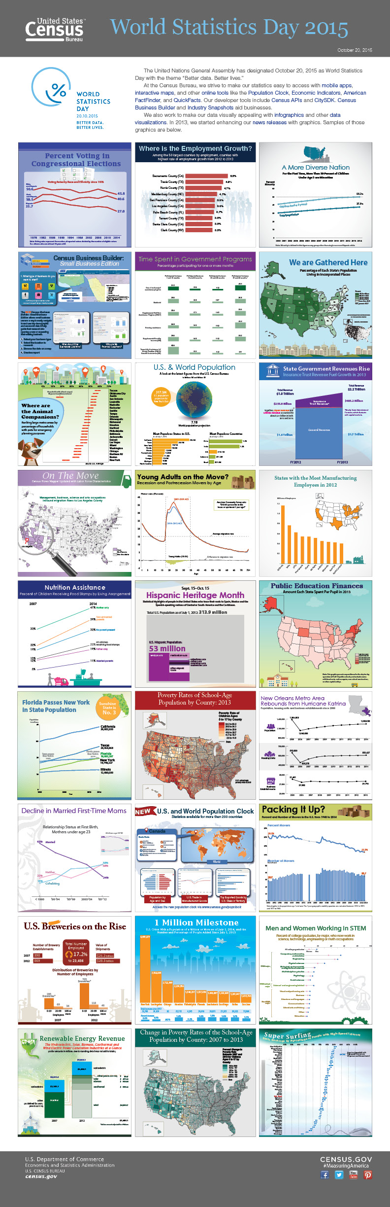 Infographic: World Statistics Day 2015 [JPG]