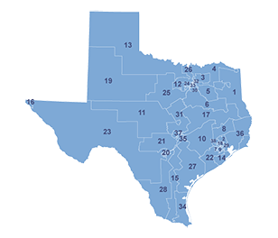 Congressional Map Of Texas - Reena Catriona