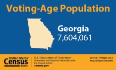 Voting-Age Population: Georgia