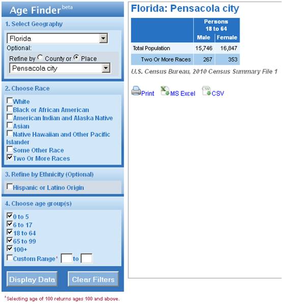 Screenshot of the Census Bureau API