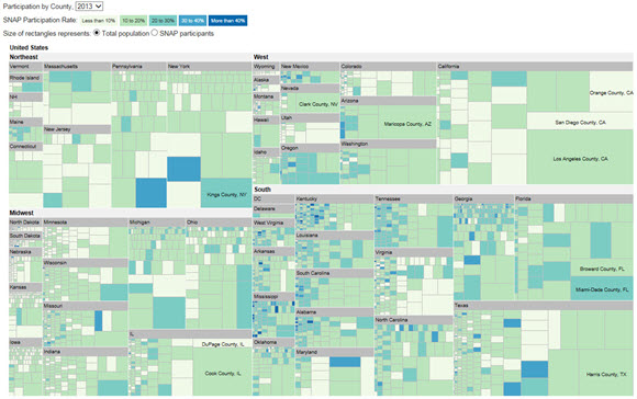 Figure 1. Screenshot of Treemap of 2013 SNAP Participation Rates