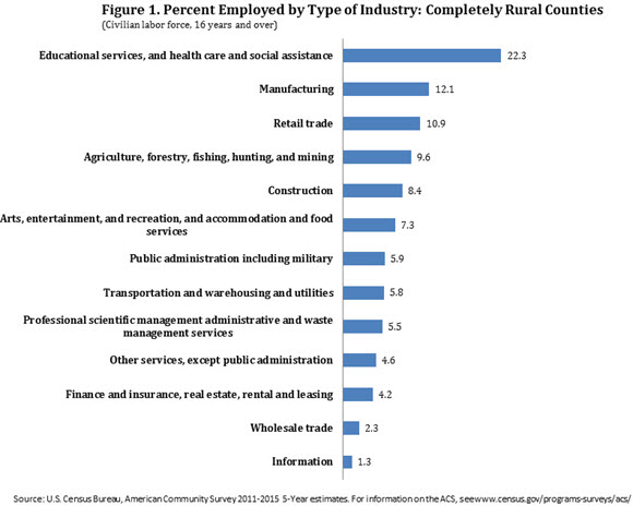 Figure 1. Percent Employed by Type of Industry: Completely Rural Counties