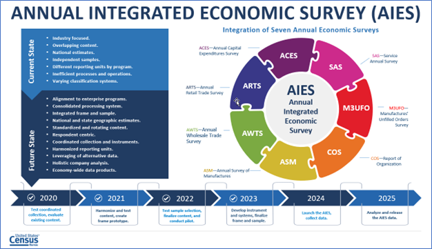 Annual Integrated Economic Survey (AIES)