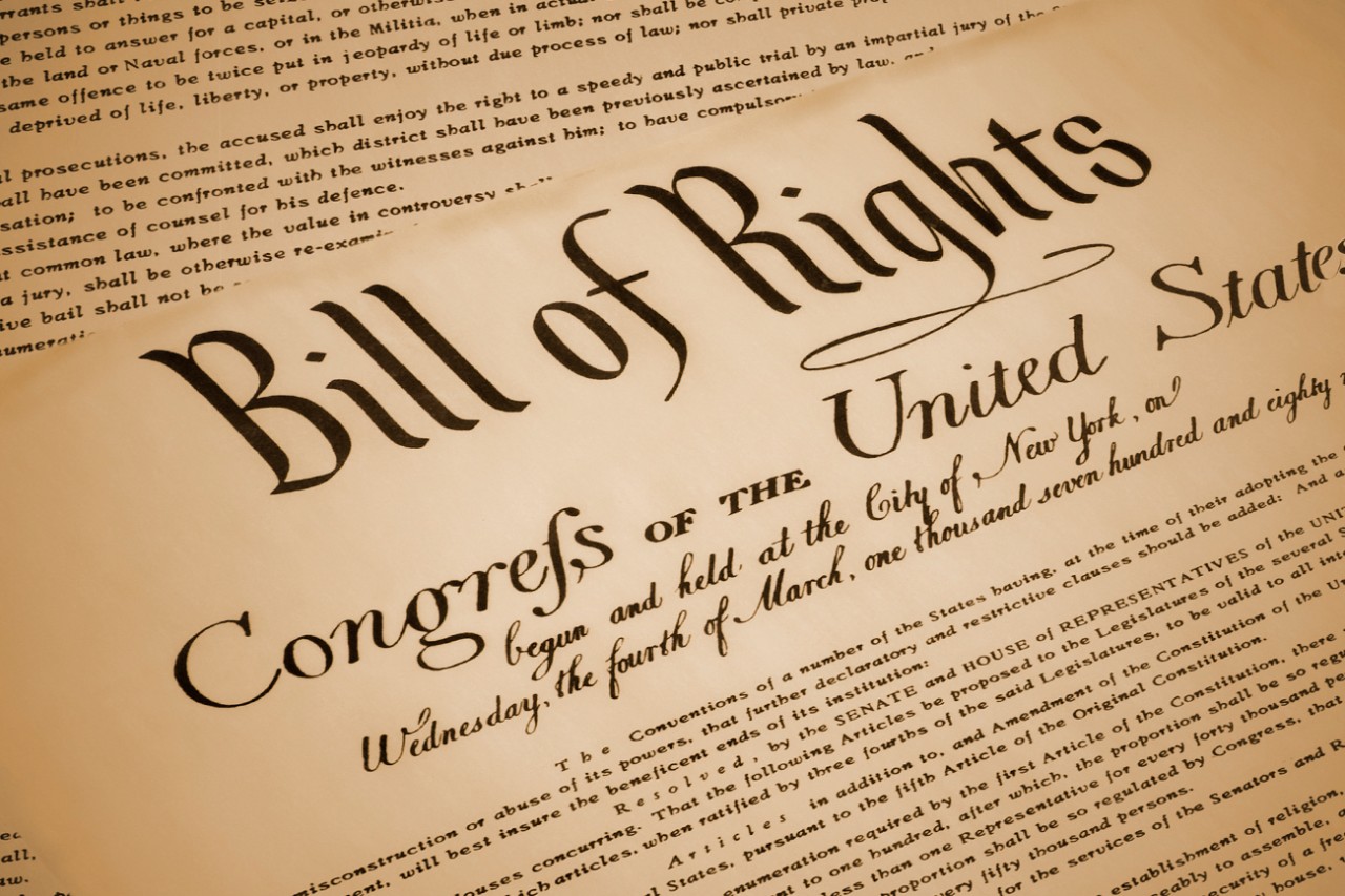 Bill of Rights Day (1791) December 15, 2023