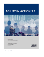 Agility In Action 3.1