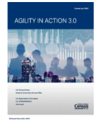 Agility in Action 3.0