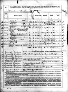 1890 Veterans Census Questionnaire