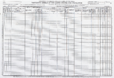 1910 Census Questionnaire