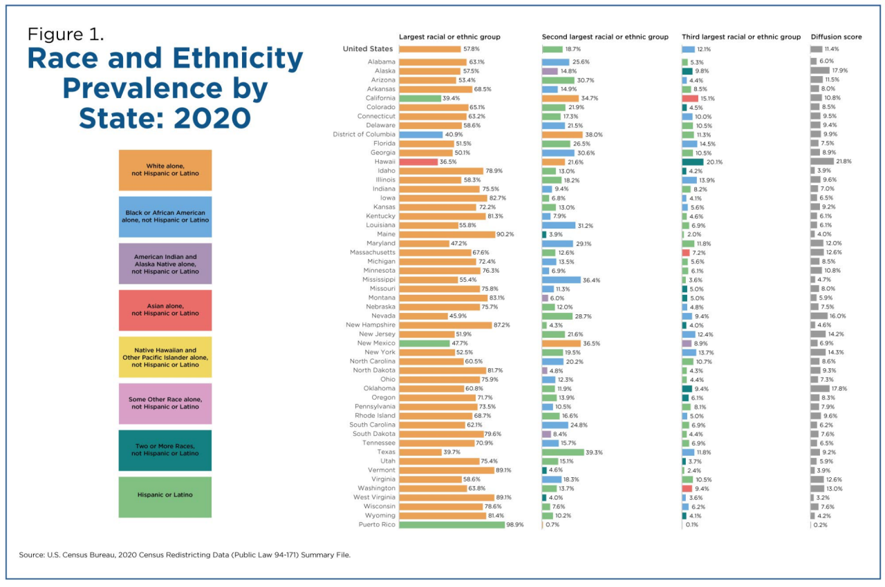 Figure 1. Race and Ethnicity Prevalence by State: 2020